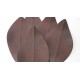 Assiettes "Feuilles" laquées (5)