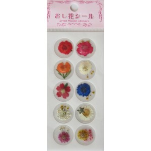 Stickers Fleurs s&eacute;ch&eacute;es