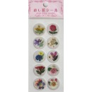 Stickers Fleurs séchées