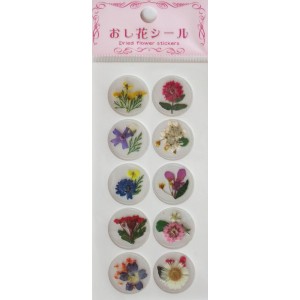 Stickers Fleurs s&eacute;ch&eacute;es