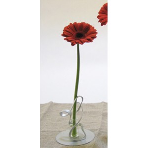 Vase soliflore "Twist" (Petit)